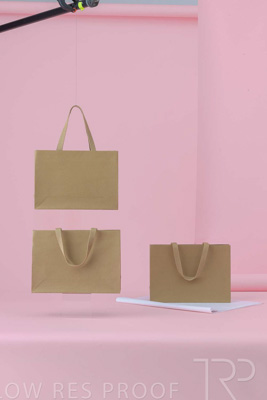 November 2023 / PP-Premium-Bags-Tissues_26_231120