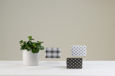 November 2023 / PP-Premium-Bags-Tissues_273_231120