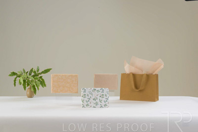 November 2023 / PP-Premium-Bags-Tissues_282_231120