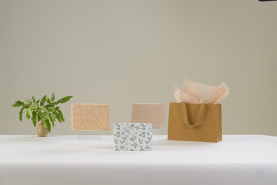 November 2023 / PP-Premium-Bags-Tissues_282_231120