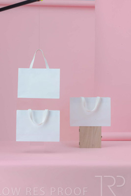 November 2023 / PP-Premium-Bags-Tissues_29_231120