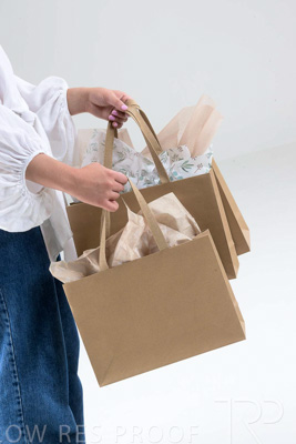 November 2023 / PP-Premium-Bags-Tissues_313_231120