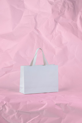 November 2023 / PP-Premium-Bags-Tissues_82_231120