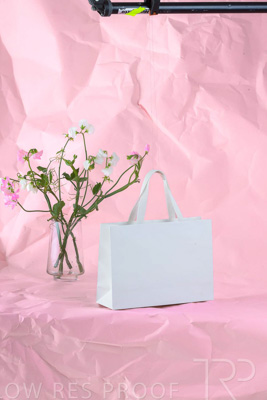 November 2023 / PP-Premium-Bags-Tissues_87_231120