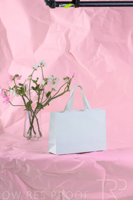 November 2023 / PP-Premium-Bags-Tissues_88_231120