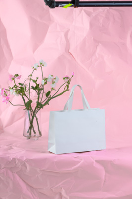 November 2023 / PP-Premium-Bags-Tissues_88_231120