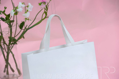 November 2023 / PP-Premium-Bags-Tissues_93_231120