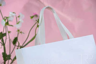 November 2023 / PP-Premium-Bags-Tissues_94_231120