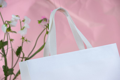 November 2023 / PP-Premium-Bags-Tissues_94_231120