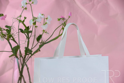 November 2023 / PP-Premium-Bags-Tissues_97_231120