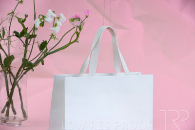 November 2023 / PP-Premium-Bags-Tissues_99_231120