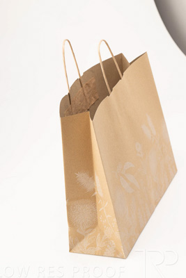 July 2023 / C598S0349-Recycled-Matilda-Paper-Twist-Handle-Bag_230706_022