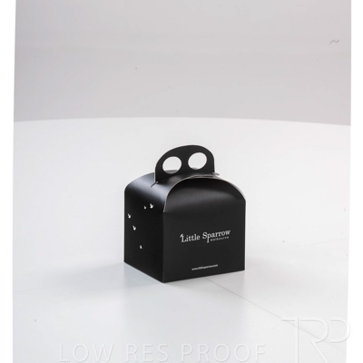 July 2023 / Little-Sparrow-small-cake-box_230704_044