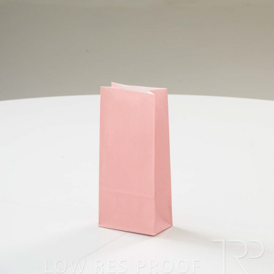 September 2023 / C86S0137-Salmon-Bag-1