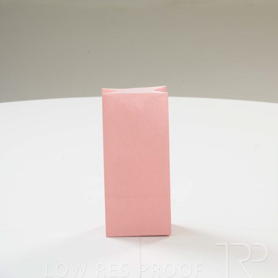 September 2023 / C86S0137-Salmon-Bag-2