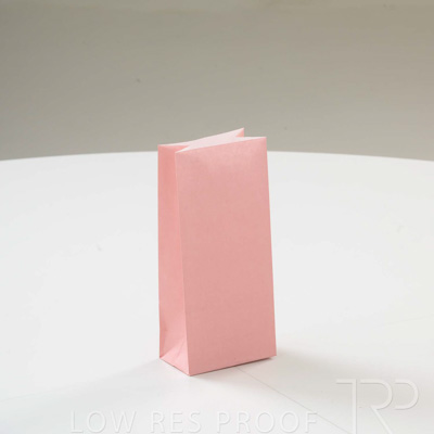 September 2023 / C86S0137-Salmon-Bag-3