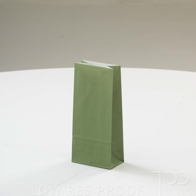 September 2023 / C86S0263-Green-Bag-1