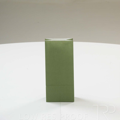 September 2023 / C86S0263-Green-Bag-2