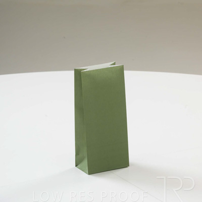 September 2023 / C86S0263-Green-Bag-3