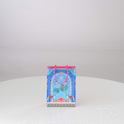 August 2024 / CP914P0016-CAMILLA-XMAS-BAG-Sml-240819-2