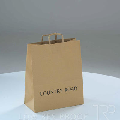 January 2025 / C973P0407-CR-Large-Sale-Bag-250115-1