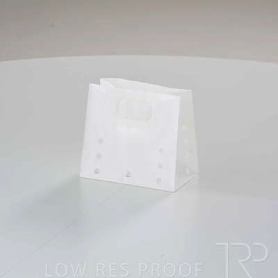 April 2025 / Grape-Bag-250422-_Z8E3627