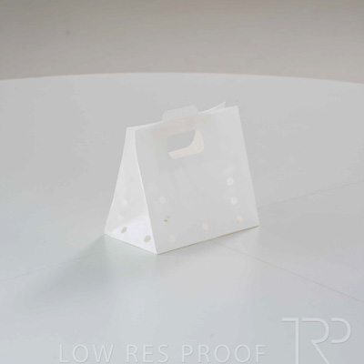 April 2025 / Grape-Bag-250422-_Z8E3633