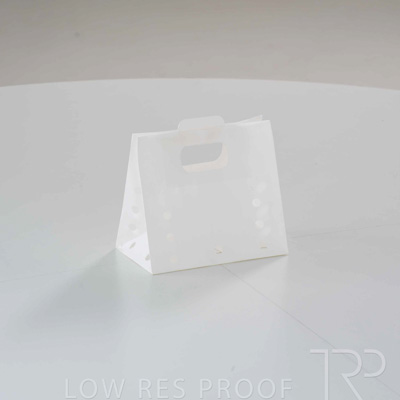 April 2025 / Grape-Bag-250422-_Z8E3634