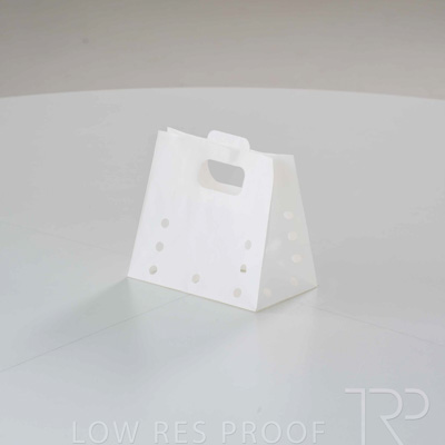 April 2025 / Grape-Bag-250422-_Z8E3637