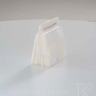 April 2025 / Grape-Bag-250422-_Z8E3641