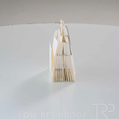 April 2025 / Grape-Bag-250422-_Z8E3649