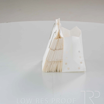 April 2025 / Grape-Bag-250422-_Z8E3666