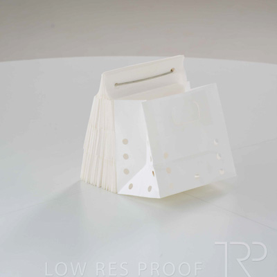 April 2025 / Grape-Bag-250422-_Z8E3669