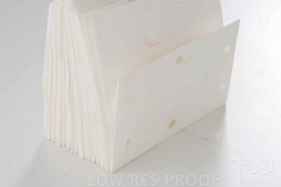 April 2025 / Grape-Bag-250422-_Z8E3683