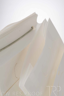 April 2025 / Grape-Bag-250422-_Z8E3699