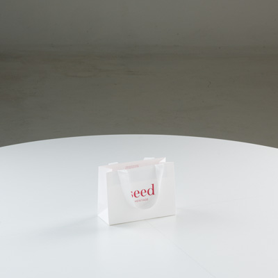 July 2025 / SD1-Seed-small-Standard-Carry-Bags-1