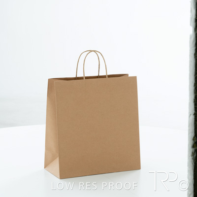 July 2025 / C296S0009-Recycled-Bag-002