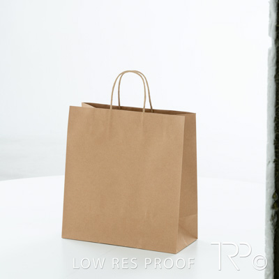 July 2025 / C296S0009-Recycled-Bag-004