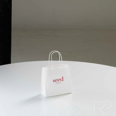 July 2025 / SD25-SEED-Small-Outlet-Bag_001