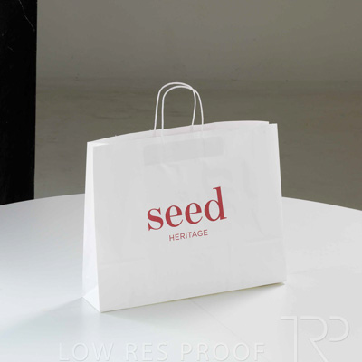 July 2025 / SD27-SEED-Large-Outlet-Bag_001