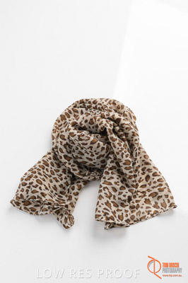 © 2015 TOM ROSCHI / SSPS-08_04_160412