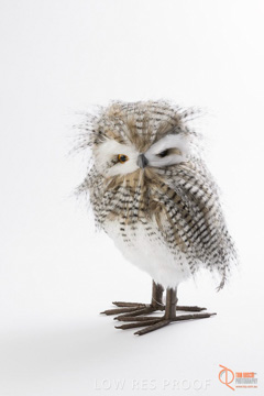 November 2016 / MBSC_0239_161110