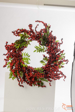 November 2016 / MBSC_0254_161110