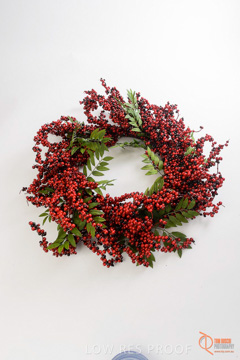 November 2016 / MBSC_0259_161110