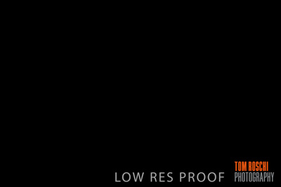 December 2018 / THE_BELLS_23_181207