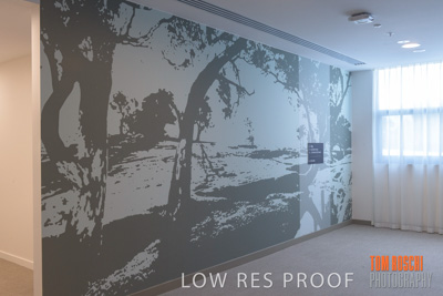 February 2019 / LIFECARE_GAINS_PARK_190219_014