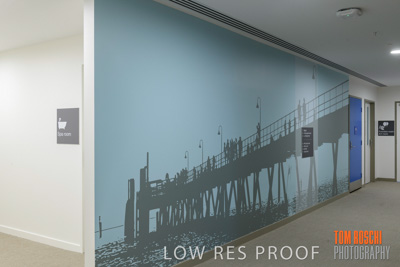 February 2019 / LIFECARE_GAINS_PARK_190219_029