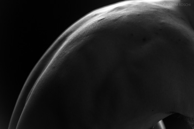 August 2019 / Bodyscapes_07_190825