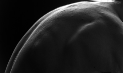 August 2019 / Bodyscapes_08_190825