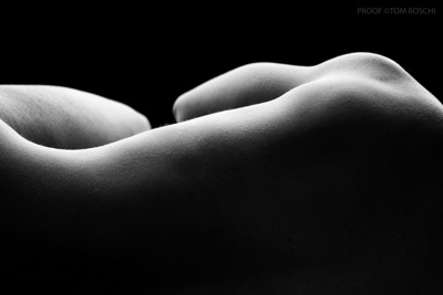 August 2019 / Bodyscapes_118_190825